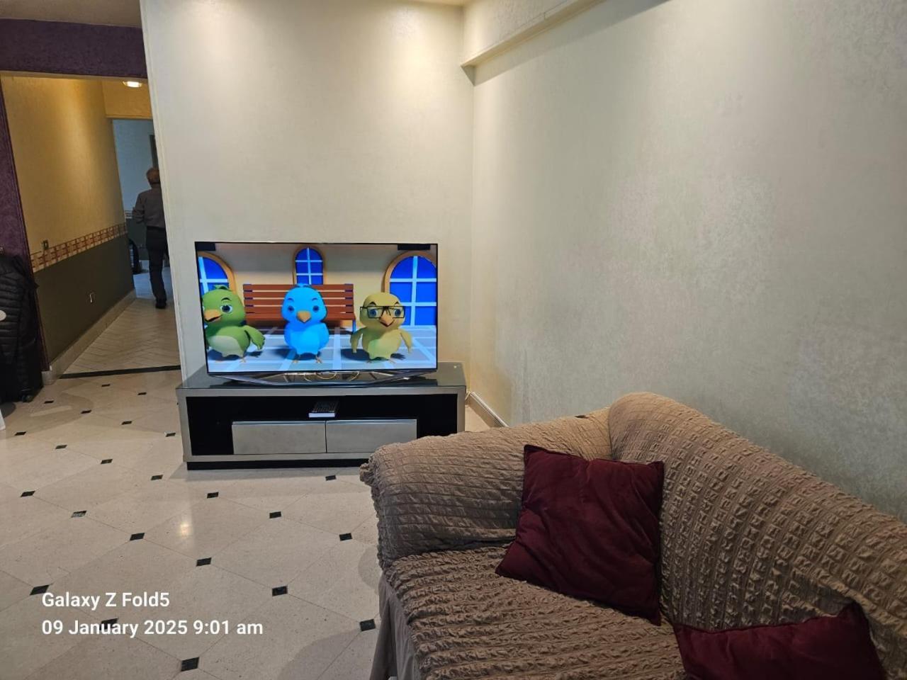 Z New Apartment Cairo